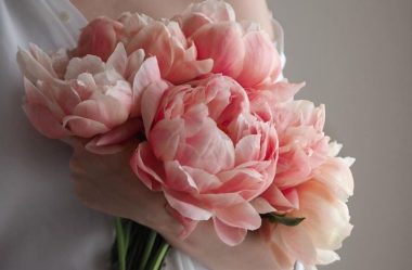 Outubro Rosa termina, mas o cuidado continua